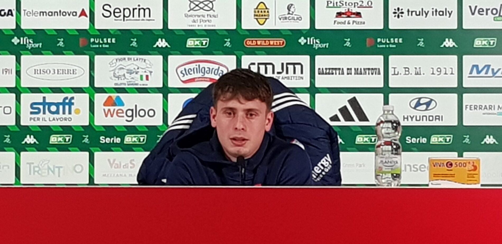 Bragantini