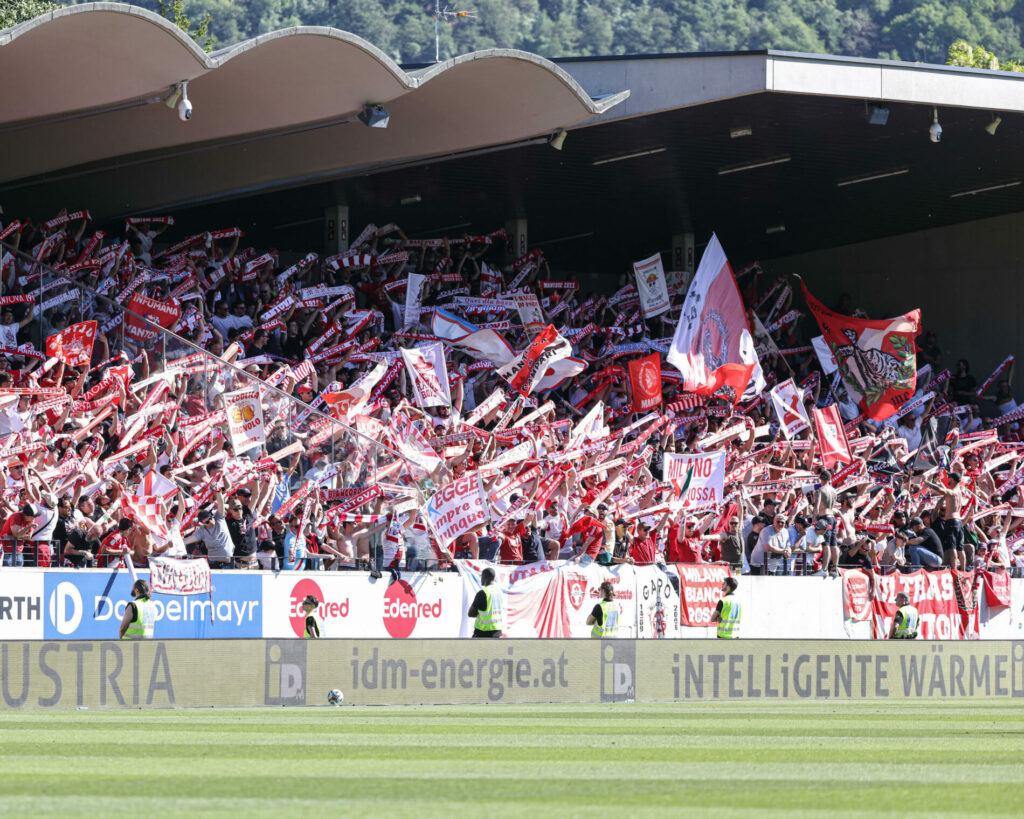 tifosi